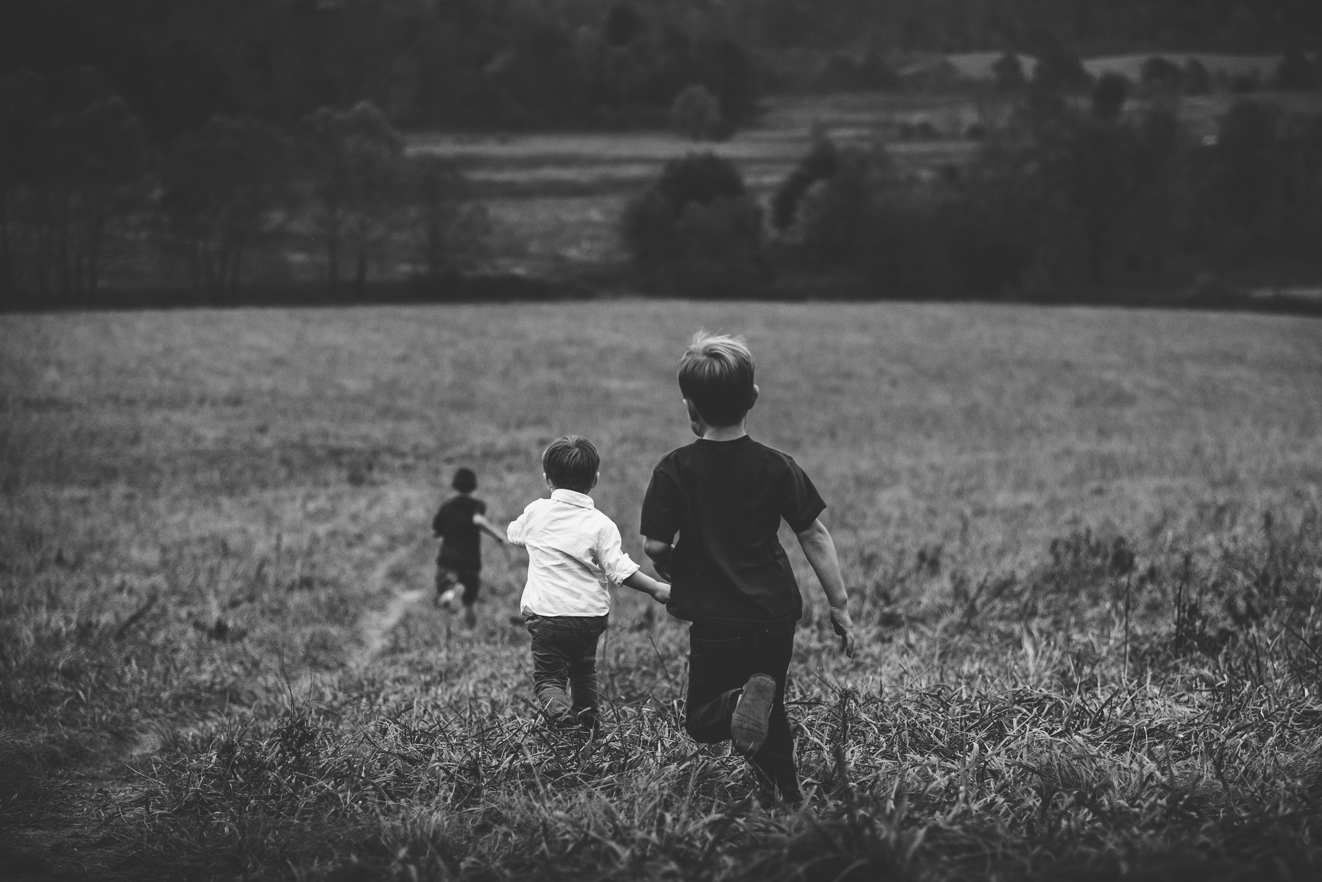 Bienvenidos a este blog